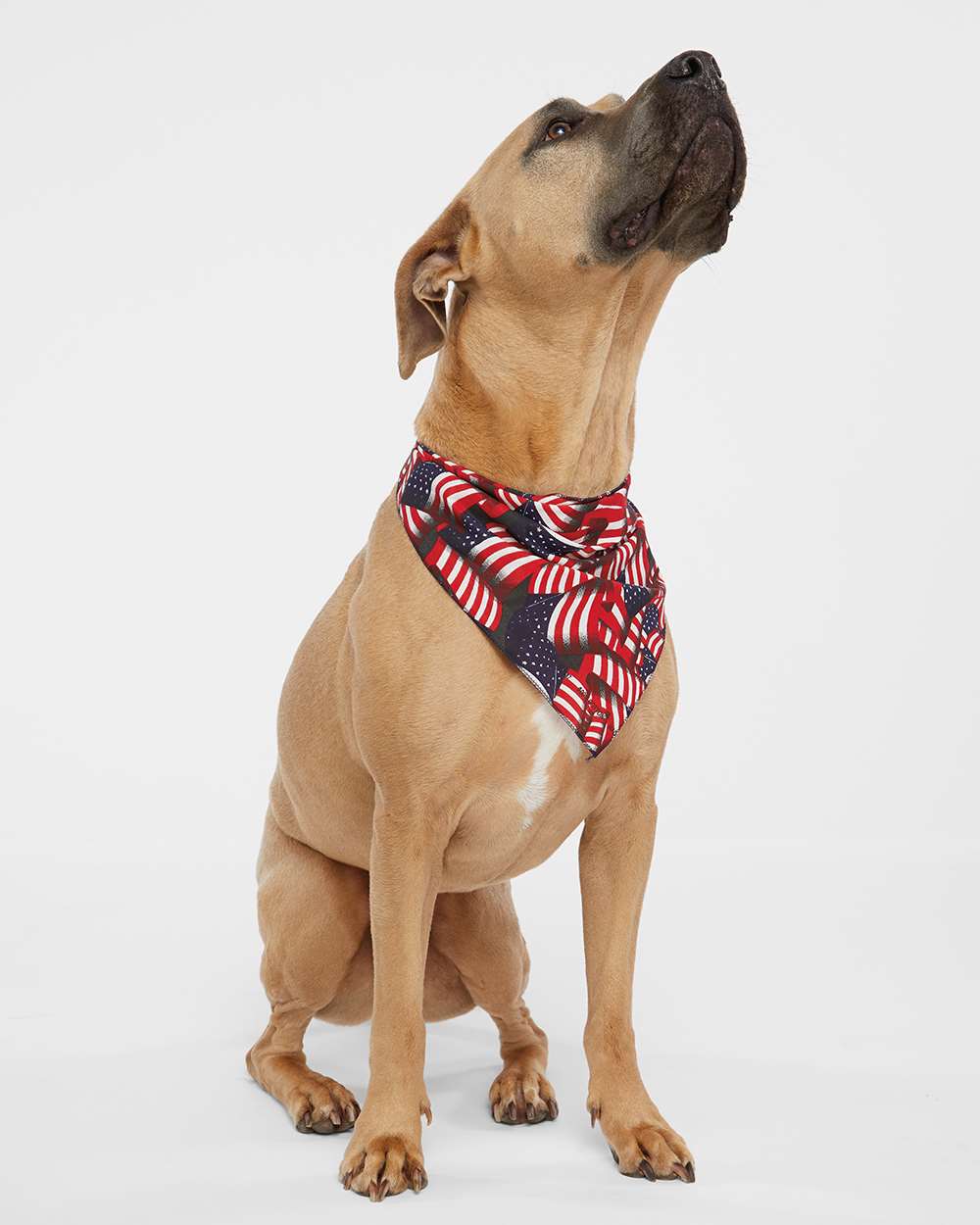 Doggie Skins Custom Embroidery Bandanna
