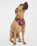 Doggie Skins Custom Embroidery Bandanna