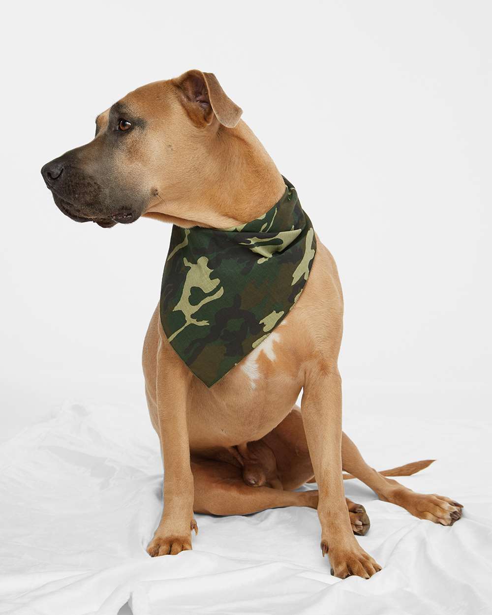 Doggie Skins Custom Embroidery Bandanna