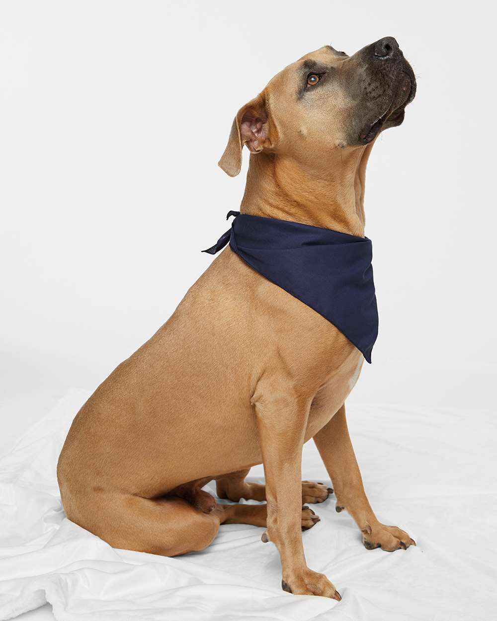 Doggie Skins Custom Embroidery Bandanna